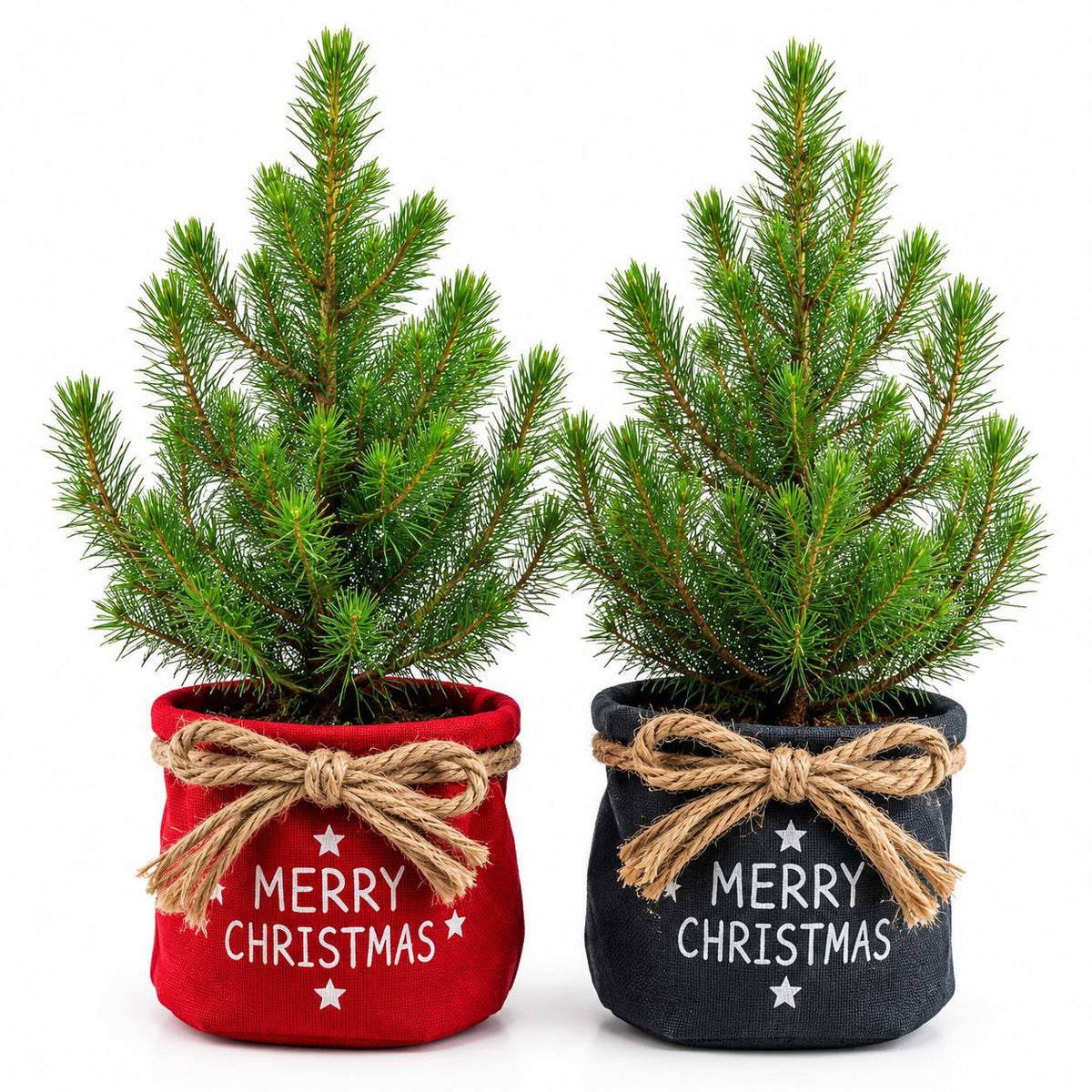 Mini árbol de Navidad en saco de yute