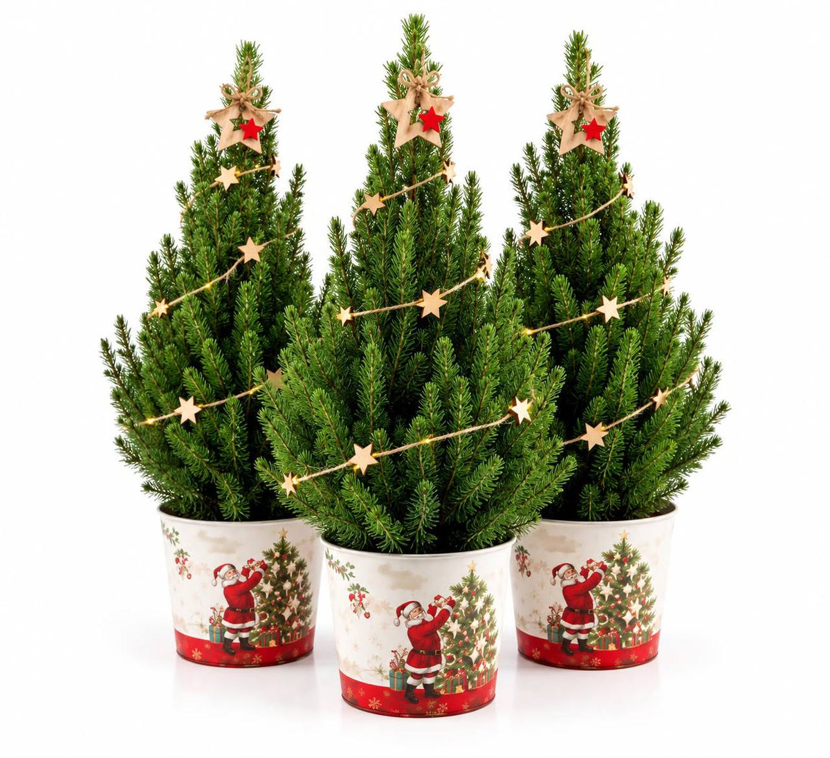 Picea glauca Conica decorada con luces LED en maceta de zinc
